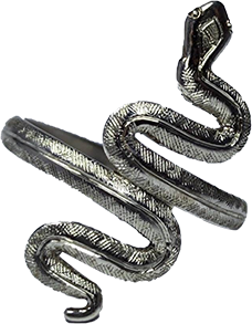 Snake ring solid silver